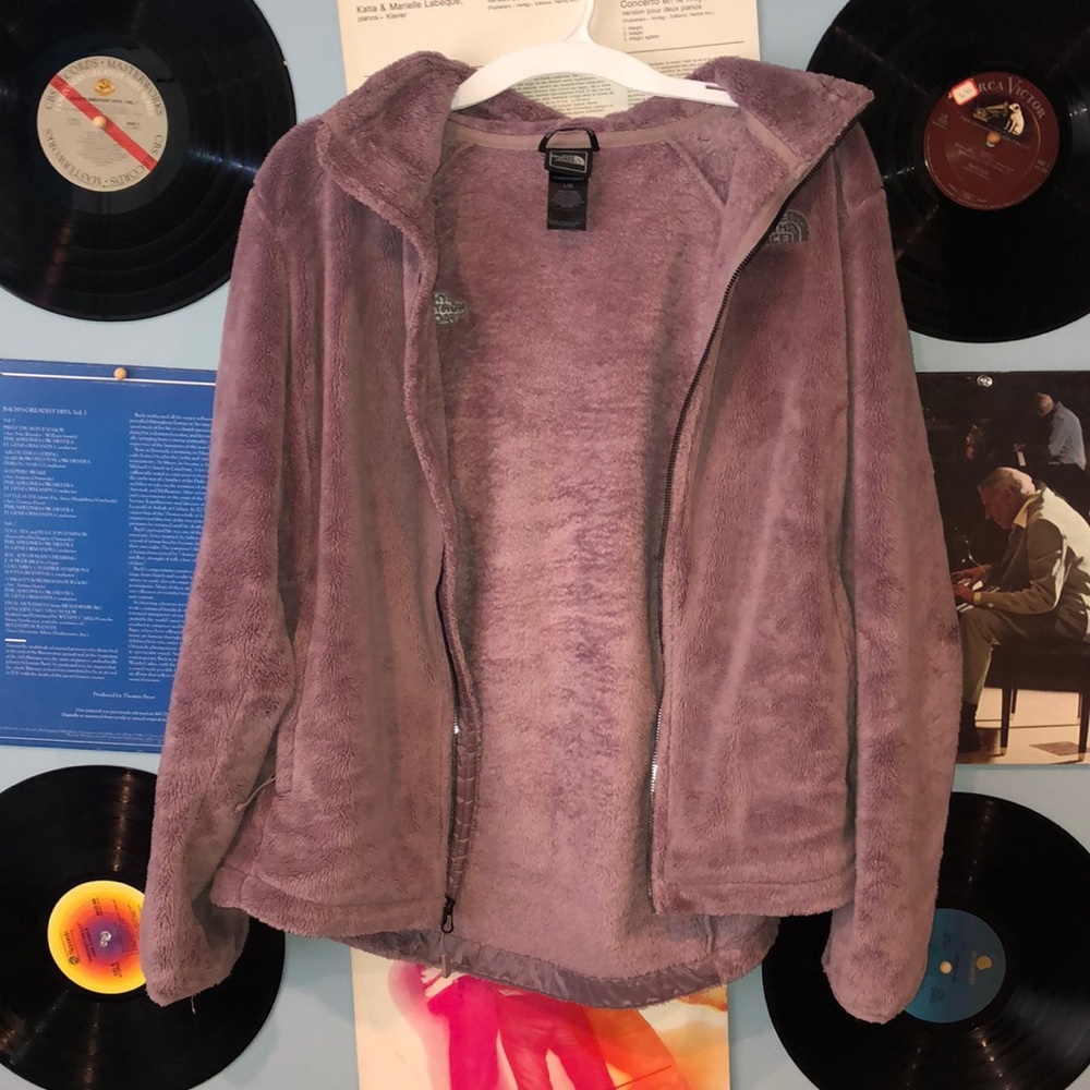 the north face fleece